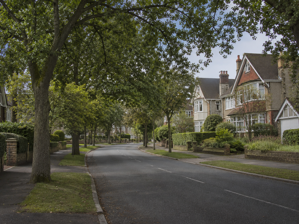 Leafy residential street in Wilmington with detached family homes